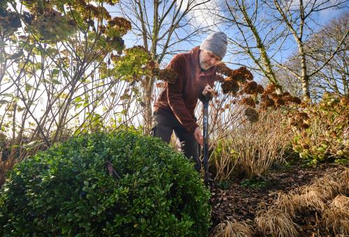 Eden on Prescription